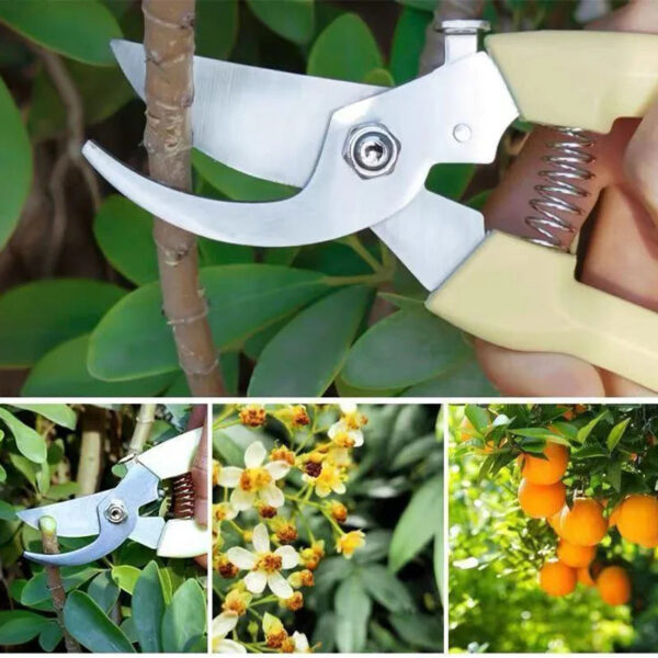 S0020a6d51fc84cc4a4c537f69e369627Z.jpg Stainless Steel Scissors Flower Cut Arrangement Pruning Fruit Tree Garden Branch Cutting Household Grafting Gardening Scissors