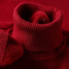 Men's Slim Fit Long Sleeve Turtleneck Sweater Anti-Pilling High Quality Knitted Solid Color Pullover Trendy Men's Clothing