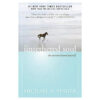 S0d78603fc63d4db6ad6ef5775141f486N.jpg The Untethered Soul By Michael A. Singer The Journey Beyond Yourself Novel #1 New York Times Bestseller Paperback Book