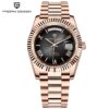 PAGANI DESIGN DD36 Men's Watches Fashion Automatic Watch For Men AR Sapphire Glass ST16 Mechanical Wristwatch Men 2025 New Watch