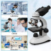 Binocular Compound Microscope for Students,40X-2000X Acrylic Transparent Stage Microscope,Microscope Kit for Adults and Beginner