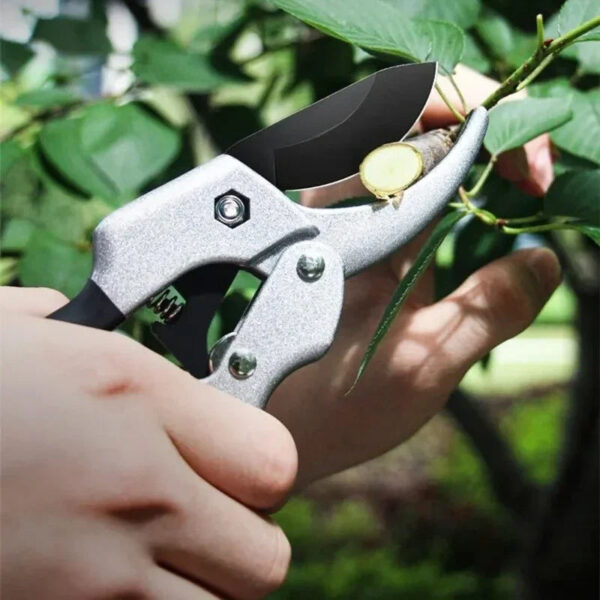 S18287f1bfeef46c3a75602eb2d984cc0i.jpg 20mm Plant Trim Horticulture Hand Shear Orchard Pruning Pruner Cut Secateur Shrub Garden Scissor Tool Anvil Branch
