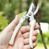 S241f54f56d824a4c8e032ad3c666a316W.jpg Stainless Steel Scissors Flower Cut Arrangement Pruning Fruit Tree Garden Branch Cutting Household Grafting Gardening Scissors