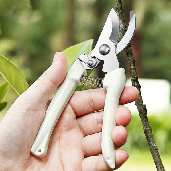 S241f54f56d824a4c8e032ad3c666a316W.jpg Stainless Steel Scissors Flower Cut Arrangement Pruning Fruit Tree Garden Branch Cutting Household Grafting Gardening Scissors