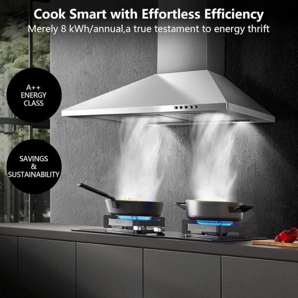 S2af0c1821d0b4e809fb446c570e5ddf1Q.jpg SNDOAS 60 cm Stainless Steel Wall Mounted Duted/Ductless A++ with Filters Led Light, 350m³/h 3 Speed range Hood