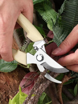 S36b97f9f241548fa87752d41147ab828p.jpg Pruner Garden Scissors Professional Sharp Bypass Pruning Shears Tree Trimmers Secateurs Hand Clippers For Garden Beak Scissors