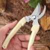 S59f869c5333840dab4ebf8da2f25ca9b5.jpg Stainless Steel Scissors Flower Cut Arrangement Pruning Fruit Tree Garden Branch Cutting Household Grafting Gardening Scissors