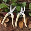 Pruner Garden Scissors Professional Sharp Bypass Pruning Shears Tree Trimmers Secateurs Hand Clippers For Garden Beak Scissors