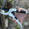 S628edc0dd2e441318ae6e60d013fc3e5P.jpg 20mm Plant Trim Horticulture Hand Shear Orchard Pruning Pruner Cut Secateur Shrub Garden Scissor Tool Anvil Branch