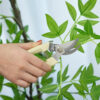 Pruner Garden Scissors Professional Sharp Bypass Pruning Shears Tree Trimmers Secateurs Hand Clippers For Garden Beak Scissors