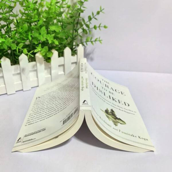 S69cb8147a2e14909b0584a69b25a0d7aN.jpg 2025The Courage to Be Disliked How to Free Yourself Change Your Life and Achieve Real Happiness Paperback English Book@@@