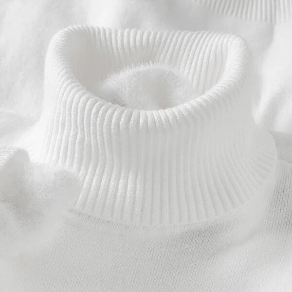 Men's Slim Fit Long Sleeve Turtleneck Sweater Anti-Pilling High Quality Knitted Solid Color Pullover Trendy Men's Clothing