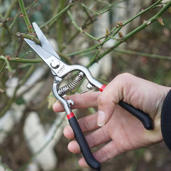 S8bf2b68090974d0185b6a415cb7b4532U.jpg Garden Tools Secateurs Garden Pruner Shears High carbon steel Blade Pruning Scissors for Bonsai Fruit Trees Flowers Branches
