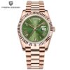 PAGANI DESIGN DD36 Men's Watches Fashion Automatic Watch For Men AR Sapphire Glass ST16 Mechanical Wristwatch Men 2025 New Watch