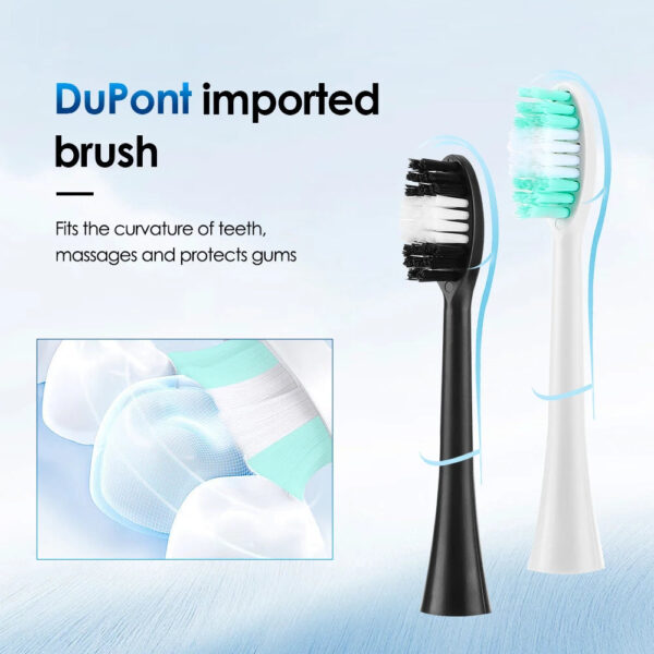 Electric Sonic Vibration Dental Scaler Teeth Whitening Plaque Calculus Coffee Smoke Stains Tartar Removal Toothbrush Tooth Clean