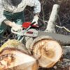 2-Stroke Engine Gas-Powered Chainsaw, 52CC Gasoline Chainsaw, 22 Inch Chainsaw Cutting Wood Gas Sawing