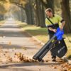 Sda38f3ce7b0a43999f1dd9e650454dfbF.jpg 3-in-1 Lightweight Leaf Blower, Garden Vacuum & Mulcher,for Easy Clearing of Leaves & Waste in Garden, Patio & Driveway