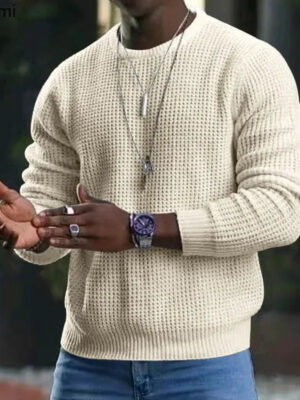 Se02b1e8c2c91407082995629914c158cp.jpg New 2026 Men's Waffle Knitted Sweaters Solid Loose Casual O-neck Pullover Tops Spring Autumn Long Sleeve Sweatshirt Male Sweater
