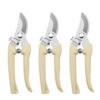Se7c173a205b24dab990b0d6dba9041fbn.jpg Stainless Steel Scissors Flower Cut Arrangement Pruning Fruit Tree Garden Branch Cutting Household Grafting Gardening Scissors