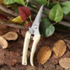 Pruner Garden Scissors Professional Sharp Bypass Pruning Shears Tree Trimmers Secateurs Hand Clippers For Garden Beak Scissors