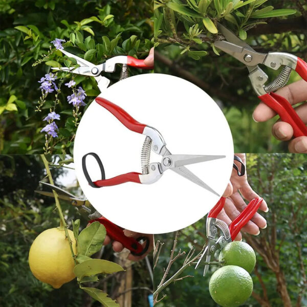 Sedb9d20aa88846ad8f9d71761c8cabd17.jpg Gardening Hand Pruner Garden Scissors Pruning Shears Micro-Tip Pruning Snips Leaf Trimmer Straight Florist Scissor For Plants