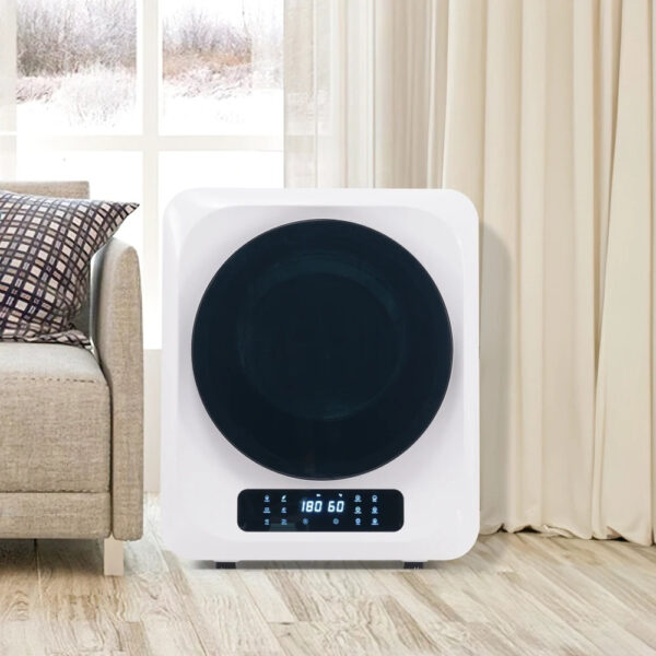 Exhaust Gas Dryer, Stainless Steel Dryer, 2.5 Kg, Actual Up To 4 Kg, 850 W Overheat Protection, Wall Mount [energy Class C]