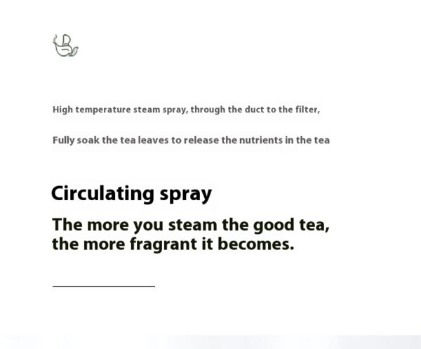 110v American Standard Household Tea Boiler Steam Spray Black Teapot