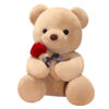 23-45cm Lovely Hug Roses Teddy Bear Plush Pillow Stuffed Soft Animal 23-45cm Lovely Hug Roses Teddy Bear Plush Pillow Stuffed Soft Animal
