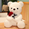 23-45cm Lovely Hug Roses Teddy Bear Plush Pillow Stuffed Soft Animal 23-45cm Lovely Hug Roses Teddy Bear Plush Pillow Stuffed Soft Animal