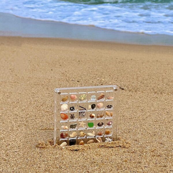 36 64 Grids Seashell Display Box Acrylic Magnetic Case Organizer