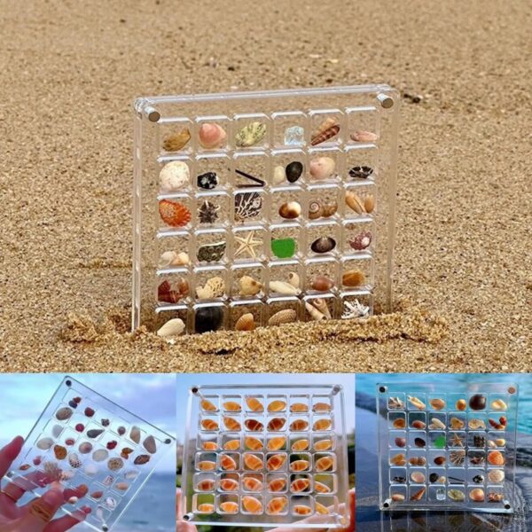 36 64 Grids Seashell Display Box Acrylic Magnetic Case Organizer