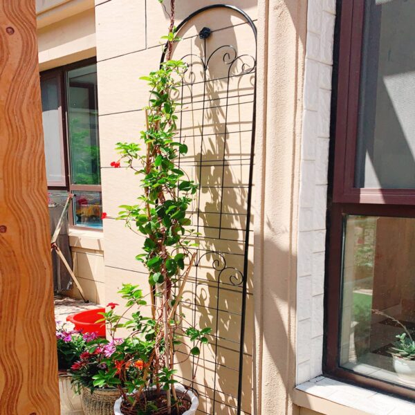 4 Pack Metal Garden Trellis for Climbing Plants Outdoor Netting 4 Pack Metal Garden Trellis for Climbing Plants Outdoor Netting