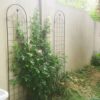 4 Pack Metal Garden Trellis for Climbing Plants Outdoor Netting 4 Pack Metal Garden Trellis for Climbing Plants Outdoor Netting