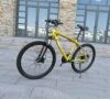 BMW Cross Country Mountain Bike Double Disc Brake BMW Cross Country Mountain Bike Double Disc Brake