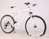 BMW Cross Country Mountain Bike Double Disc Brake BMW Cross Country Mountain Bike Double Disc Brake