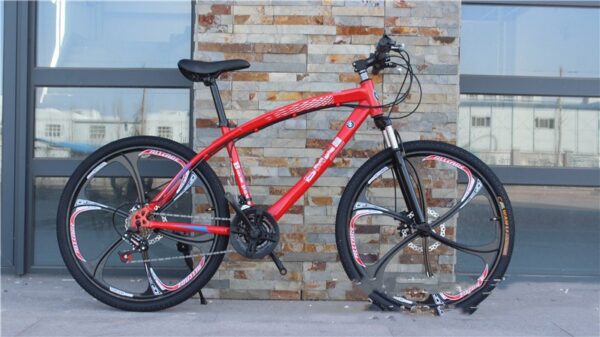 BMW Cross Country Mountain Bike Double Disc Brake BMW Cross Country Mountain Bike Double Disc Brake