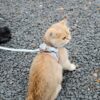 Cat Traction Rope Vest-style Reflective Chest Harness Anti-stroke Cat Traction Rope Vest-style Reflective Chest Harness Anti-stroke