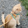Cat Traction Rope Vest-style Reflective Chest Harness Anti-stroke Cat Traction Rope Vest-style Reflective Chest Harness Anti-stroke