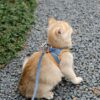 Cat Traction Rope Vest-style Reflective Chest Harness Anti-stroke Cat Traction Rope Vest-style Reflective Chest Harness Anti-stroke