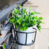 Chrome Black Metal Plant Pot Holder Outdoors Decoration Flower Chrome Black Metal Plant Pot Holder Outdoors Decoration Flower