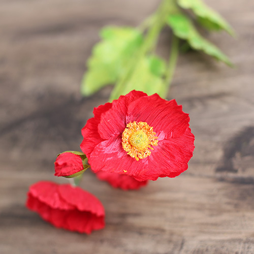 Creative Colorful Silk Fabric Artificial Flowers Creative Colorful Silk Fabric Artificial Flowers