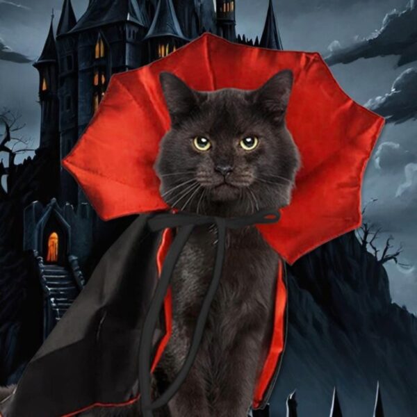 Cute Halloween Pet Costumes Cosplay Vampire Cloak for Small Dog Cat Cute Halloween Pet Costumes Cosplay Vampire Cloak for Small Dog Cat