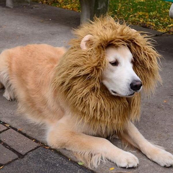 Cute Pet Cosplay Clothes Transfiguration Costume Lion Mane Winter Warm Cute Pet Cosplay Clothes Transfiguration Costume Lion Mane Winter Warm
