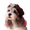 Dog Accessories Photo Concave Shape Pumpkin Hat Dog Accessories Photo Concave Shape Pumpkin Hat