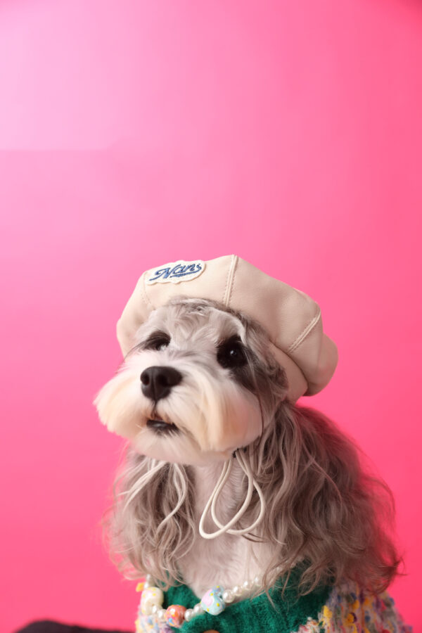 Dog Accessories Photo Concave Shape Pumpkin Hat Dog Accessories Photo Concave Shape Pumpkin Hat