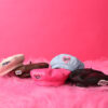 Dog Accessories Photo Concave Shape Pumpkin Hat Dog Accessories Photo Concave Shape Pumpkin Hat