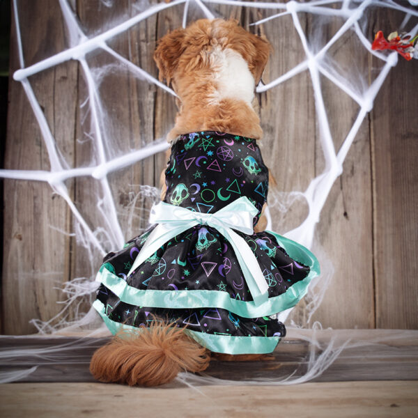 Dog Clothes Halloween Cute Double-layer Pet Skirt Dog Clothes Halloween Cute Double-layer Pet Skirt