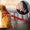 Dog Traction Belt Telescopic Rope Car Car Rope Dog Traction Belt Telescopic Rope Car Car Rope