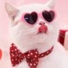 Doll Sunglasses Pet Toy Accessories Doll Sunglasses Pet Toy Accessories