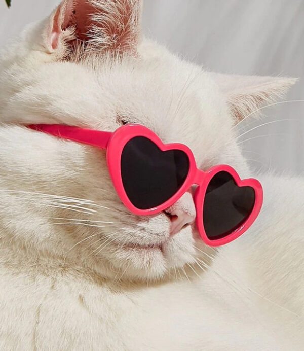 Doll Sunglasses Pet Toy Accessories Doll Sunglasses Pet Toy Accessories